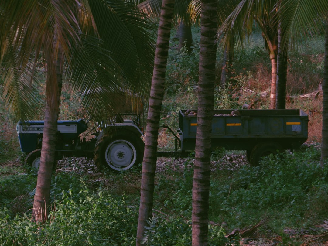 Traktor dengan trailer pengangkut di tengah lanskap perkebunan tropis